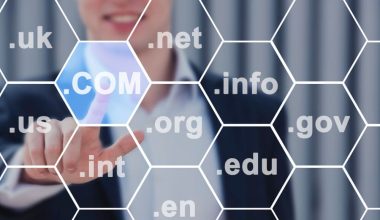 populer domain uzantilari
