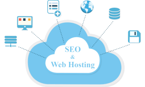 seo hosting secimi