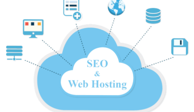 seo hosting secimi