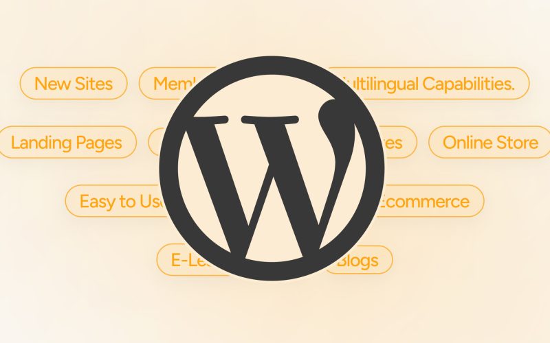 WordPress Hosting Nedir?