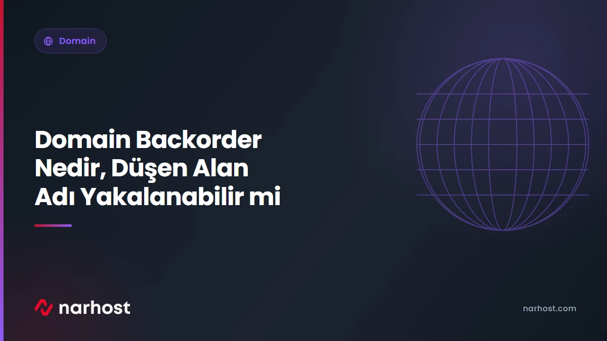 Domain Backorder Nedir, Düşen Alan Adı Yakalanabilir mi — Narhost Domain rehberi kapak görseli