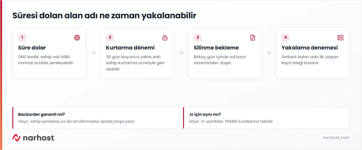 domain backorder siparişinin alan adı yaşam döngüsünde hangi aşamada devreye girdiğini gösteren şema