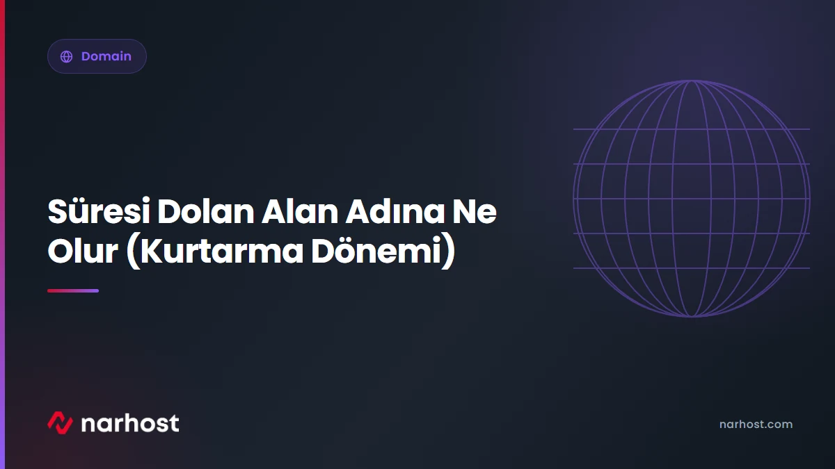 Süresi Dolan Alan Adına Ne Olur (Kurtarma Dönemi) — Narhost Domain rehberi kapak görseli