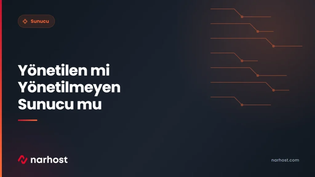 Yönetilen mi Yönetilmeyen Sunucu mu — Narhost Sunucu rehberi kapak görseli