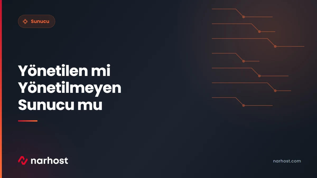 Yönetilen mi Yönetilmeyen Sunucu mu — Narhost Sunucu rehberi kapak görseli