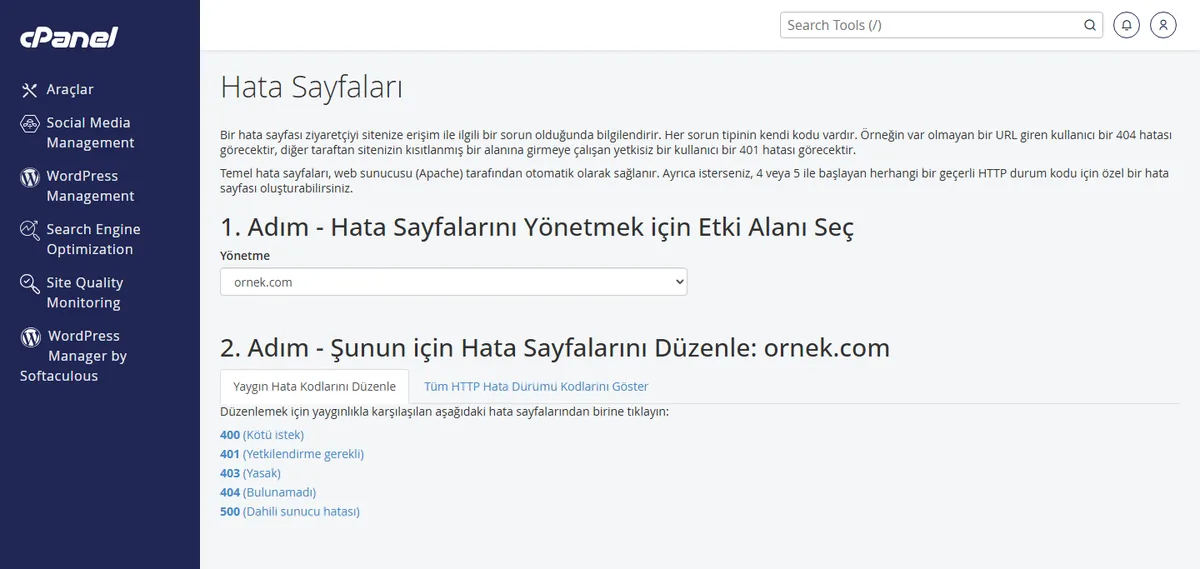 404 not found hatası nasıl giderilir - cPanel Hata Sayfaları ekranında özel 404 sayfası düzenleme