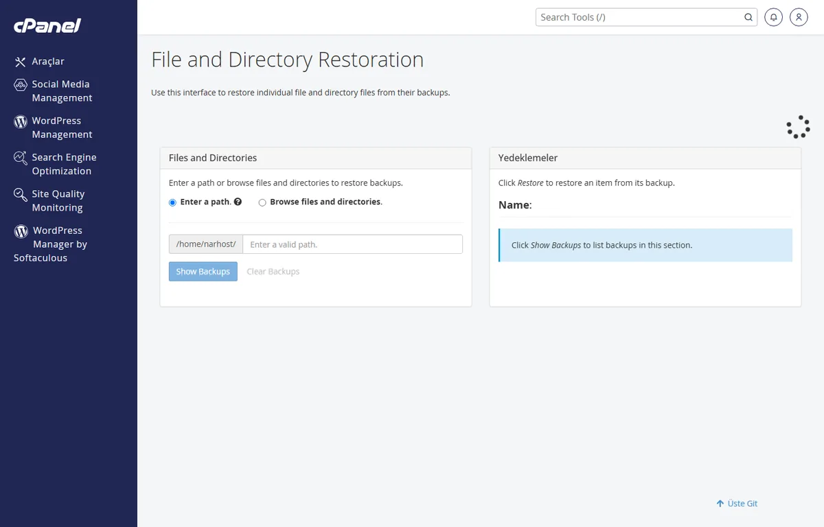 cPanel Dosya ve Dizin Kurtarma sayfasında JetBackup otomatik yedek noktasından tek dosya seçme