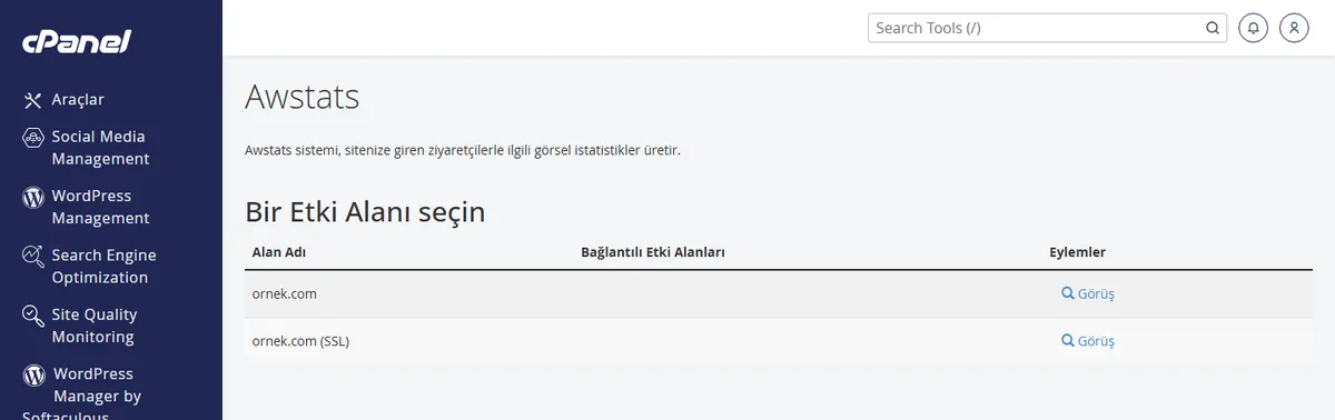 cPanel AWStats sayfası — alan adı ve SSL satırlarında Görüş düğmeleri