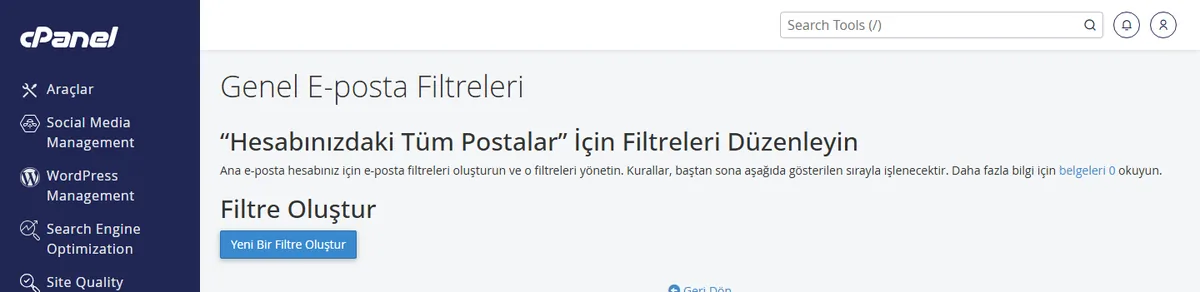 Genel E-posta Filtreleri sayfasında alan adı düzeyinde kural listesi