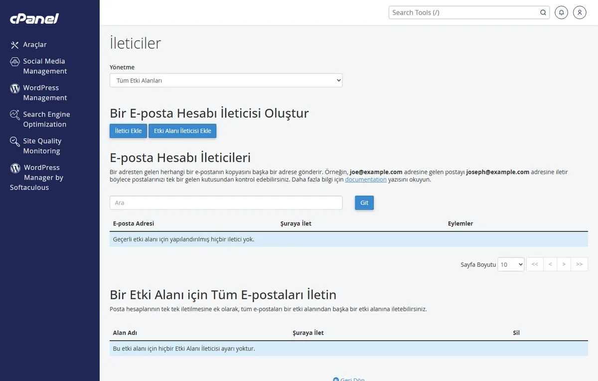 cPanel e-posta yönlendirme için açılan İleticiler sayfası