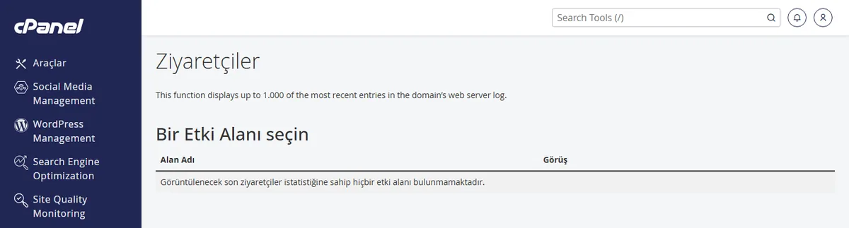cPanel Ziyaretçiler sayfasında son istekleri, IP adreslerini ve yanıt kodlarını inceleme