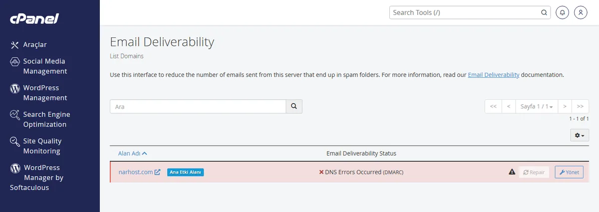 mail spam sorunu nasıl çözülür — cPanel E-posta Doğrulama ekranında SPF DKIM DMARC durumu