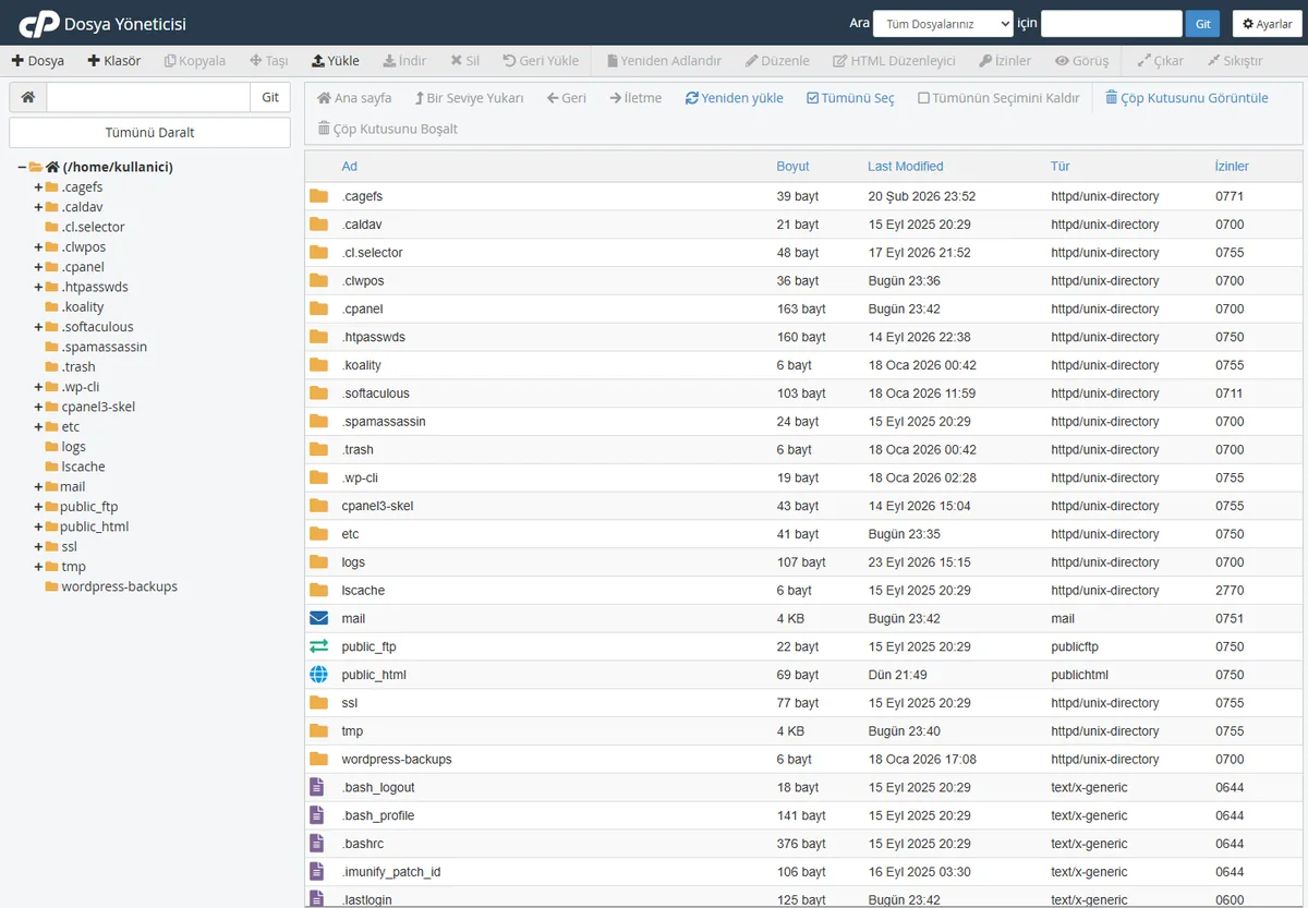 Missing a temporary folder hatası için cPanel Dosya Yöneticisi'nde wp-content altında temp klasörü oluşturma