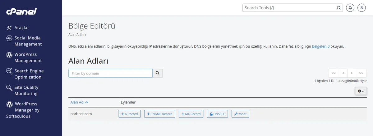 Nameserver nasıl değiştirilir - ad sunucusu yönlendirilmeden önce cPanel Bölge Editörü'nde mevcut DNS kayıtlarının kontrolü