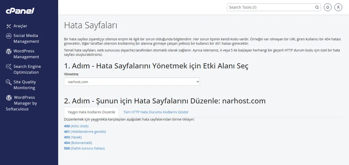 cPanel Hata Sayfaları ekranı — özel hata sayfası nasıl aktif edilir sorusunun cevabı