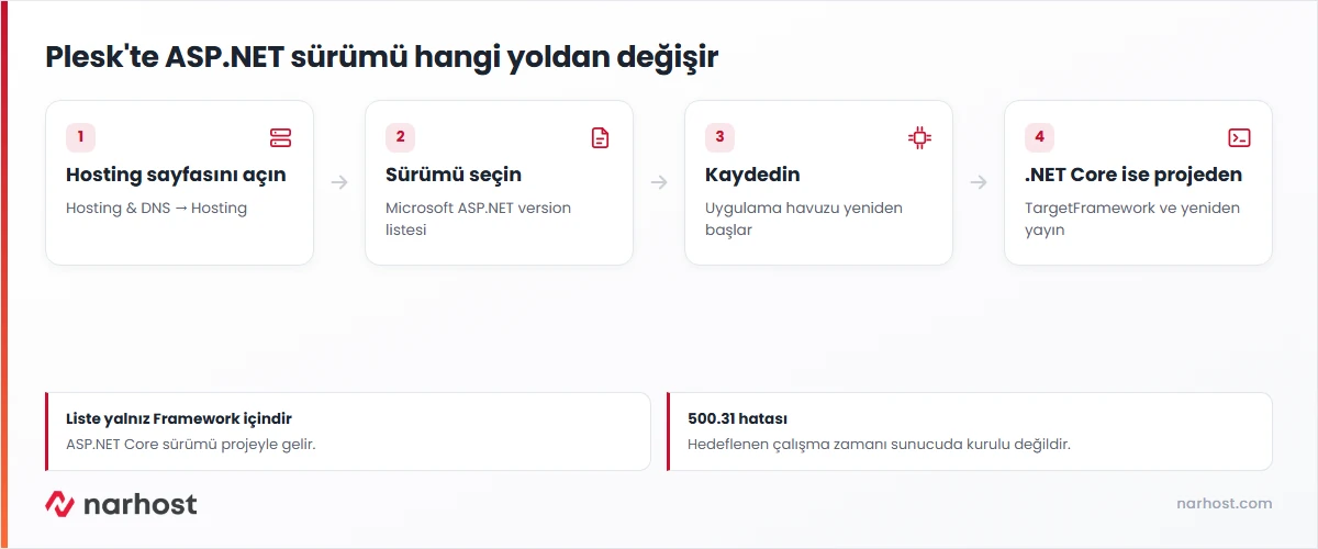 Pleskte ASP NET sürümü değiştirme akışı — Hosting ayarları, sürüm listesi, kayıt ve .NET Core hedef çerçevesi