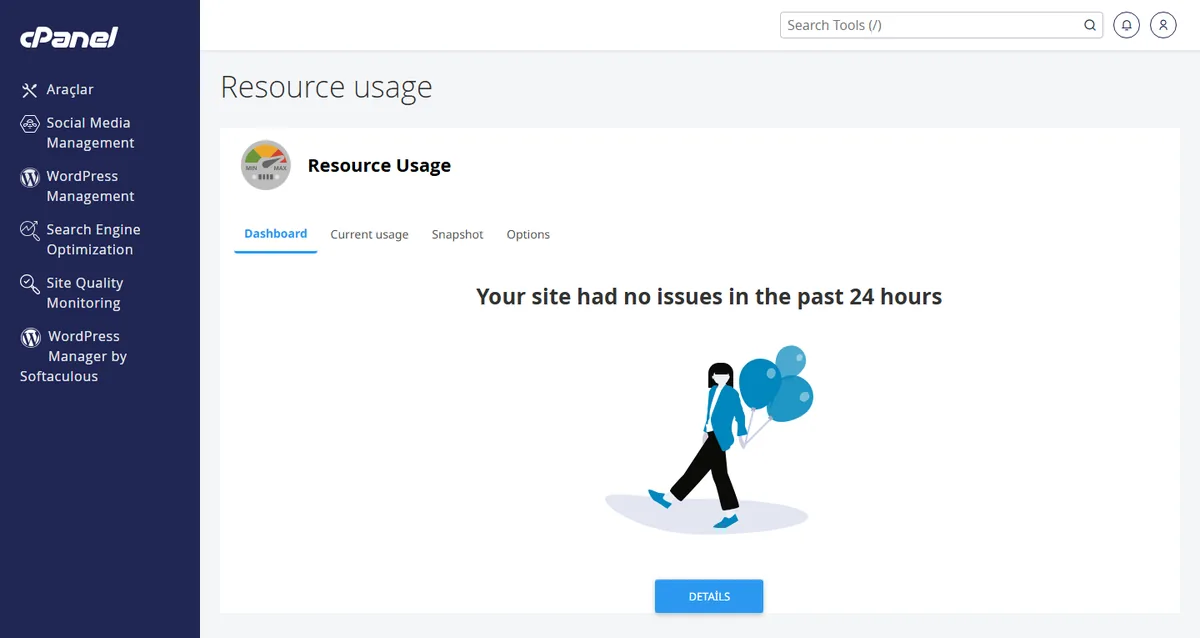 resource limit is reached hatası — cPanel Kaynak Kullanımı ekranı