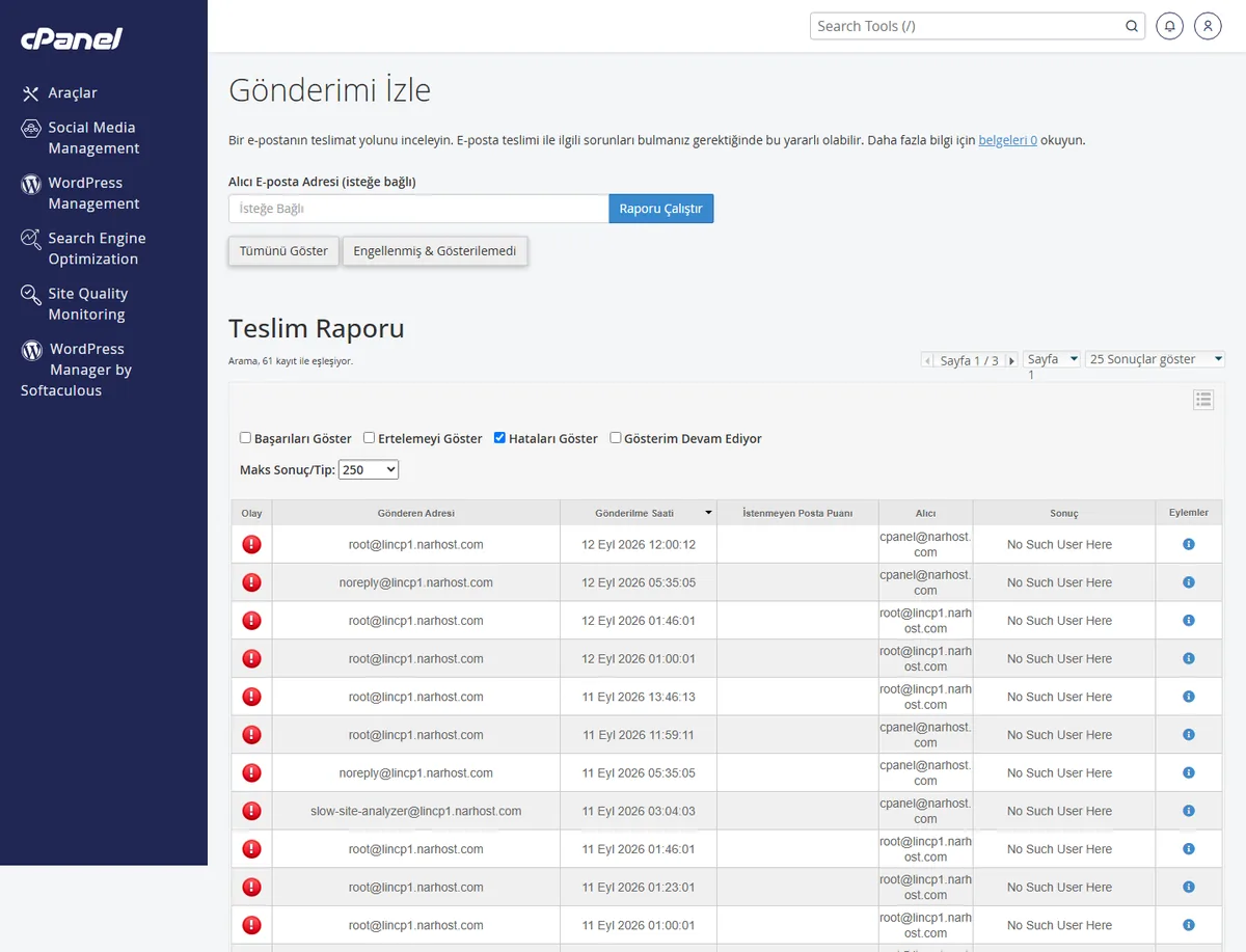 cPanel Gönderimi İzle ekranında WordPress'ten gönderilen test e-postasının durumu