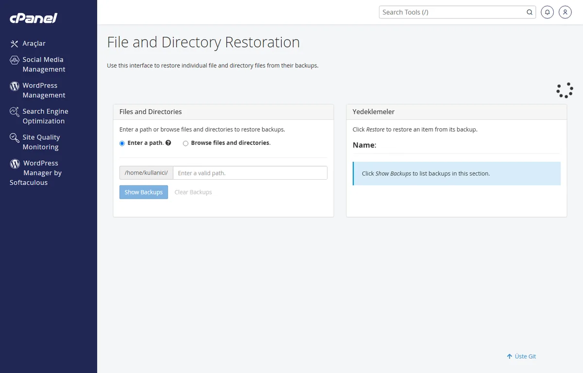 cPanel Dosya ve Dizin Kurtarma aracı — tek dosya geri yükleme ekranı