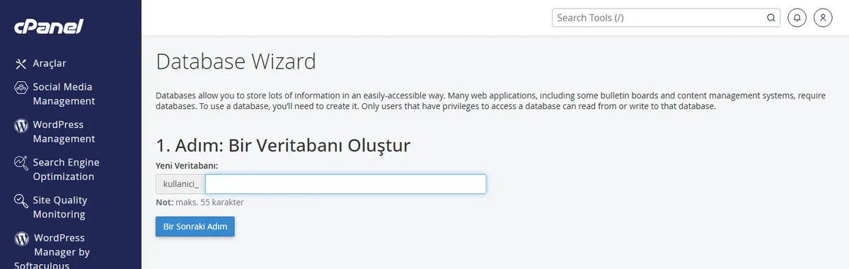 cPanel MySQL veritabanı kurulumunu tek akışta yürüten Veritabanı Sihirbazı ekranı
